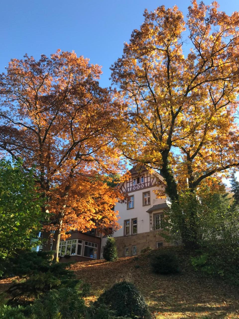 Waldhotel Bad Muenstereifel Exterior foto